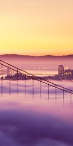 Building,Lights,Bridge,Cities,Sunset,San Francisco,Fog