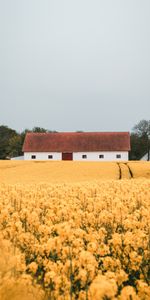 Domaine,Champ,Bâtiment,Imeuble,Divers,Fleurs