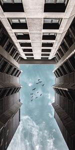 Building,Miscellanea,Miscellaneous,Facade,Bottom View,Birds