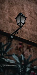 Building,Miscellanea,Miscellaneous,Lamp,Lantern,Plants