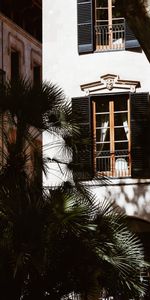 Building,Miscellanea,Palm,Facade,Miscellaneous,House,Windows