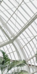 Building,Palm,Design,Greenhouse,Plant,Construction,Minimalism