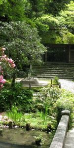 Building,Vegetation,Steps,Pond,Track,Enlightenment,Nature,Construction,Education