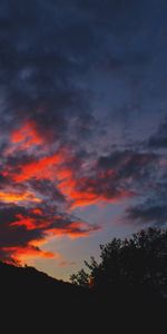 Bush,Dusk,Hill,Twilight,Dark,Silhouettes