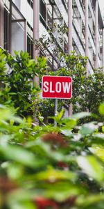 Bush,Inscription,Slow,Words,Sign