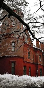 Bush,Lock,Wood,Tree,Branch,Stone,Frost,Hoarfrost,Nature,Snow,Structure