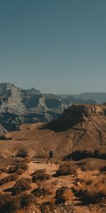 Buissons,Solitude,Seule,Divers,Solitaire,Canyon