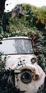 Bush,Miscellaneous,Miscellanea,Car,Ruin,Rust,Ruins