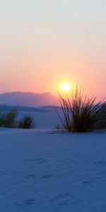 Bush,Mountains,Snow,Nature,Sunset,Landscape