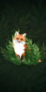 Bush,Nice,Sweetheart,Fox,Art