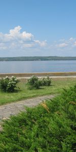 Bush,Sky,Roads,Sea,Clouds,Landscape