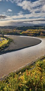 Bush,Winding,Sinuous,Forest,Nature,Rivers