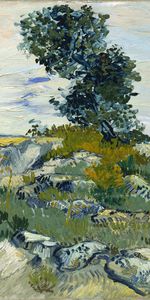 Butter,Boulders And Oak,Nature,Oil,Vincent Van Gogh,Landscape,Canvas