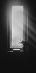 Bw,Window Sill,Silence,Windowsill,Chb,Window