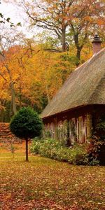 Paisaje,Naturaleza,Bosque,Pequeña Casa,Logia,Cabañas,Otoño