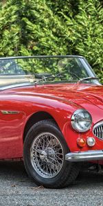 Roadster,1966,Austin Healey,Bj8,Кабриолет,3000,Тачки (Cars),Красный