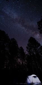 Campsite,Trees,Dark,Starry Sky,Night,Tent,Camping