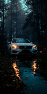 Car,Cars,Front View,Mercedes,Forest