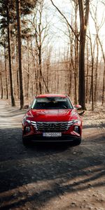 Hyundai,Route,Vus,Voitures,Forêt,Voiture