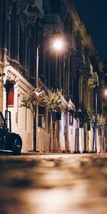 Car,Street,Night City,Cities