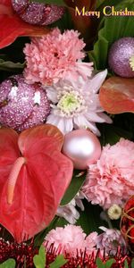 Carnations,Greens,Inscription,Tinsel,Anthurium,Holidays,Christmas,Christmas Decorations,Christmas Tree Toys