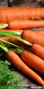 Carrot,Vegetables,Food,Harvest