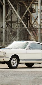 Coches,Shelby,Gt350,1966,Ford Mustang