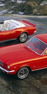 Cars,1967,Convertible,Muscle Cars,1964,Hardtop Coupe,Chevrolet Camaro Ss,Ford Mustang