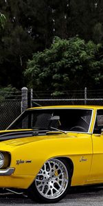 Cars,1969,Chevrolet,Side View,Camaro