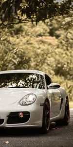 Асфальт,Белый,Porsche Cayman S,Тачки (Cars),Машина,Спорткар,Вид Спереди,Порш (Porsche)