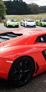 Lamborghini,Gallardo |,Gallardo,Voitures,Aventador,Supercar