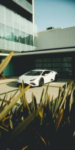 Cars,Building,Lamborghini Huracan,Car,Leaves,Lamborghini