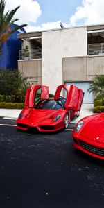 Cars,Building,Palms,Ferrari