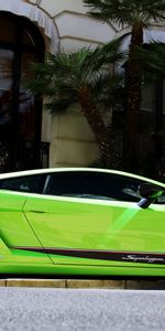 Cars,Building,Palms,Lamborghini