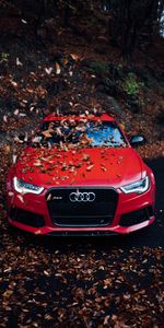 Ауди (Audi),Бампер,Тачки (Cars),Вид Спереди,Листва,Автомобиль,Красный,Осень