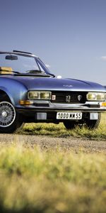 V6,Peugeot 504,Тачки (Cars),Кабриолет,Поле