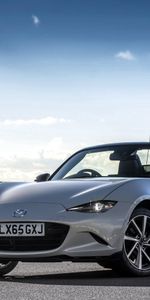 Concepto,Cabriolé,Cabriolet,Mx 5,Mazda,Coches,Spyder