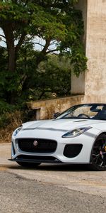 F Type,Тачки (Cars),Project 7,Белый,Вид Сбоку,Ягуар (Jaguar)