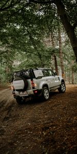 Cars,Forest,Car,Back View,Rear View,Suv,Land Rover