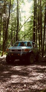 Vus,Voitures,Forêt,Vue De Face,Jeep,Toyota