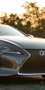 Лексус (Lexus),Тачки (Cars),Бампер,Вид Спереди