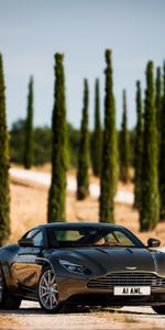 Coches,Vista Frontal,Db1,Aston Martin