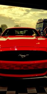 Ford,Voitures,Vue De Face,Mustang