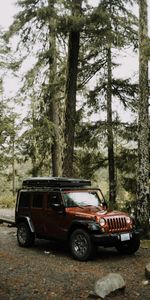 Vus,Voitures,Marron,Jeep Wrangler,Jeep,Voiture