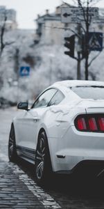 Cars,Lights,Back View,Rear View,Car,Machine,Headlights