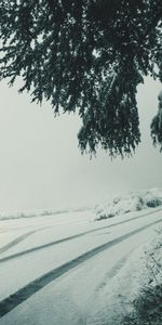 Cars,Lights,Fog,Branches,Snow,Car,Winter,Headlights