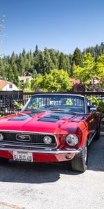 Cars,Lights,Front View,Car,Retro,Headlights,Mustang