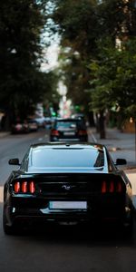 Cars,Lights,Rear View,Back View,Car,Headlights,Mustang