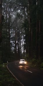 Cars,Lights,Road,Car,Trees,Glow,Retro,Headlights