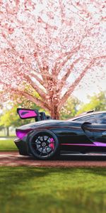 Mclaren,Coches,Perfil,Vista Lateral,Mclaren Senna,Carreras,Deportivo,Sakura,Coche Deportivo